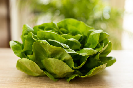 Fresh lettuce leaves, ready to eat. Lettuce leaves on the table. High quality photoの写真素材