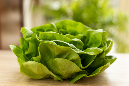 Fresh lettuce leaves, ready to eat. Lettuce leaves on the table. High quality photoの写真素材
