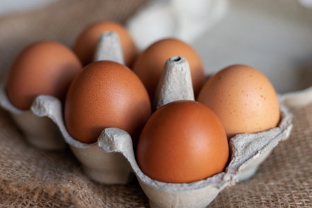 Chicken eggs in an egg carton. Homemade chicken eggs close-up. High quality photoの写真素材