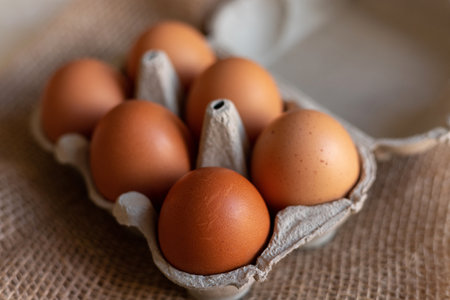 Chicken eggs in an egg carton. Homemade chicken eggs close-up. High quality photoの写真素材
