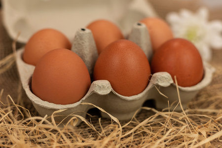 Organic brown eggs in an egg carton. Eggs in a box on straw. High quality photoの写真素材