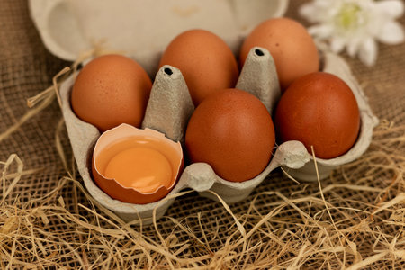 Brown homemade eggs in an egg carton. Broken egg. Raw egg yolk. High quality photoの写真素材