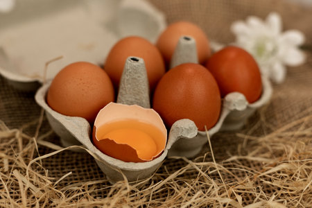 Brown homemade eggs in an egg carton. Broken egg. Raw egg yolk. High quality photoの写真素材