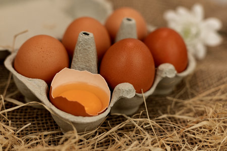 Brown homemade eggs in an egg carton. Broken egg. Raw egg yolk. High quality photoの写真素材