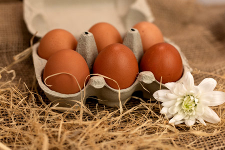 Organic brown eggs in an egg carton. Eggs in a box on straw. High quality photoの写真素材