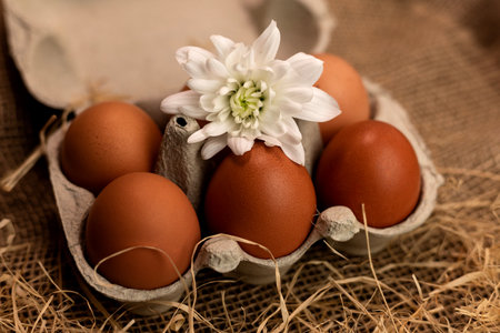 Organic brown eggs in an egg carton. Eggs in a box on straw. High quality photoの写真素材