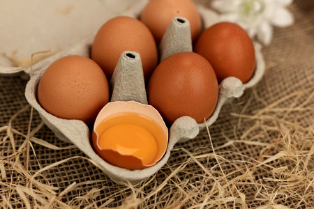 Brown homemade eggs in an egg carton. Broken egg. Raw egg yolk. High quality photoの写真素材
