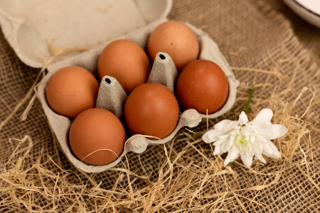 Organic brown eggs in an egg carton. Eggs in a box on straw. High quality photoの写真素材