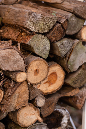 Rural life. Firewood from deciduous trees prepared for winter. High quality photoの写真素材