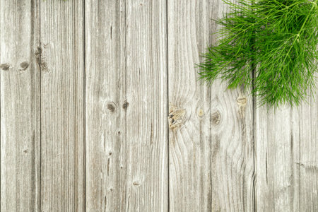 A dill branch in the corner on the table. Proper nutrition. Dietary nutritionの写真素材