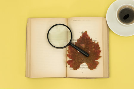 Open book with glasses on a yellow background. Autumn background associated with education. Education at school, university. Reading books. High quality photoの写真素材