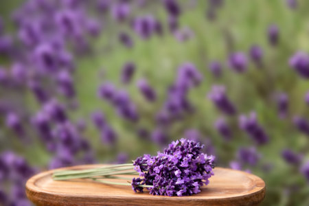 Freshly harvested lavender on a wooden stand. High quality photoの写真素材