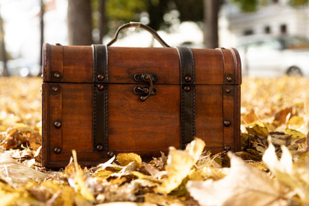 Old Wooden Treasure Chest in Autumn Parkの写真素材