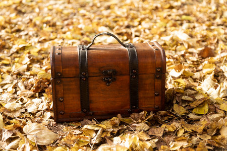 Vintage Wooden Chest on Autumn Leavesの写真素材