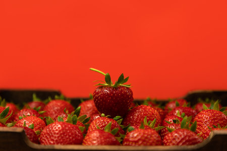 Strawberries in Box with Bold Red Backgroundの写真素材