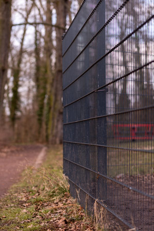 Blue fence in woodland springtime texture