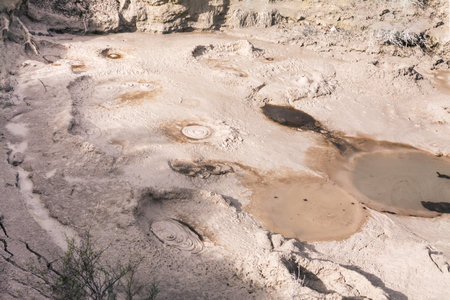 Close-up of bubbling hot mud pool. Rotorua, New Zealand