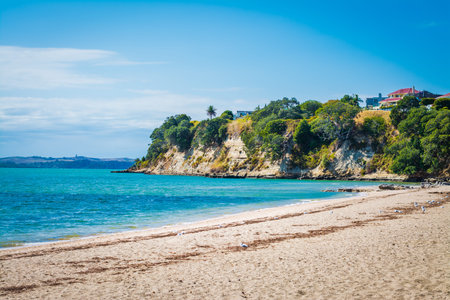 Beautiful summer day at St Heliers beach. Eastern suburbs of Auckland, New Zealand. Normally busy...