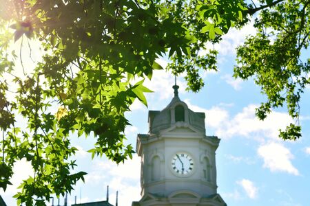 Out of focus clock tower against blue sky framed with backlit green foliageの写真素材