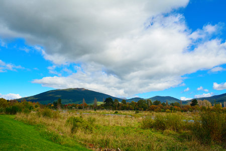 Long white cloud spreading over banks of Tongariro river on a bright autumn day.