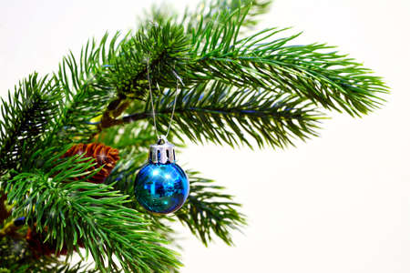 Green fir Branch decorated with blue Christams ornament and small pinecones against white backgroundの写真素材