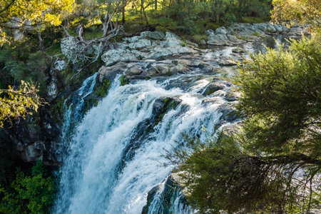 Looking down magnificent Rainbow waterfalls in Kerikeri, New Zealandの写真素材