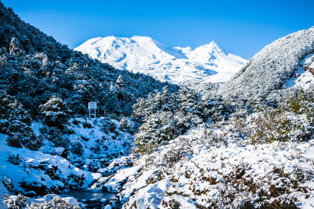 Majestic snow-capped Mount Ruapehu rising behind snowered river bed with evergreen trees on the banks. Ohukune Mountain Road, North Island, New Zealandの写真素材