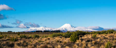 Snow blanketed volcanic cone of Mount Ngauruhoe rising over valley on a beautiful winter day. Tongariro National Park, New Zealand.の写真素材