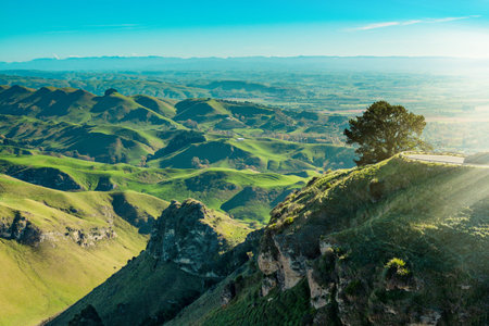 Majestic view over lush green of Te Mata Hills. Mountain road taking a sharp turn round a big tree...