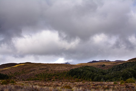Snow blanketed cone of Mt Ruapehu barely visible in the low clouds. Desolated high land field in Central Plateau of New Zealand. Tongariro National Park, North Island.の写真素材