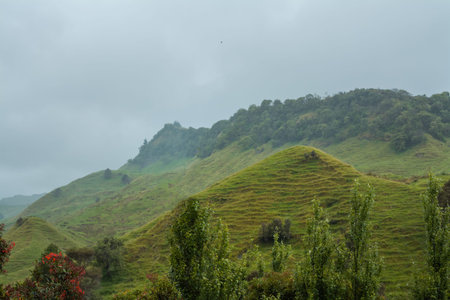 Heavy mist and rain over green mountain ranges of Wharekopae and Taumata a te Kahu. Gisborne, North...