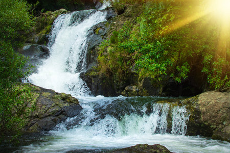 Breathtaking cascade waterfall hidden in a forest. Adventure and travel concept. Nature background....