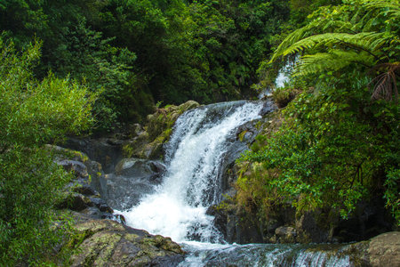 Breathtaking cascade waterfall hidden in a forest. Adventure and travel concept. Nature background....