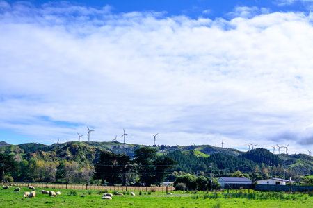 Iconic landscape with wind farm on the top of a mountain range under blue sky with white clouds. Concept of alternative energy and sustainability. Palmerston North, New Zealandの写真素材