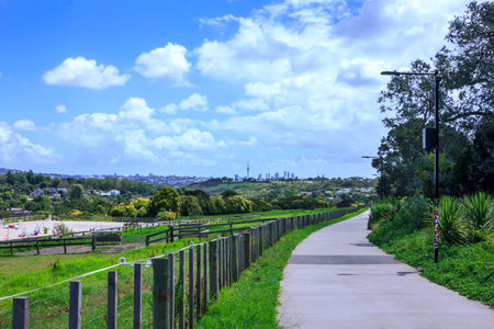 Concrete shared path curving along paddocks towards Orakei Basin. Auckand CBD skyline visible in the distance. Beautiful summer day in Auckland, New Zealandの写真素材