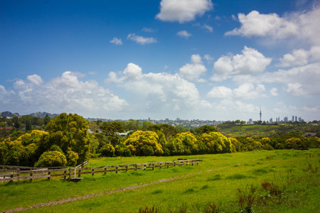 Landscape of an summer green field rolling down the hill toward a row of suburbian houses. Auckland...