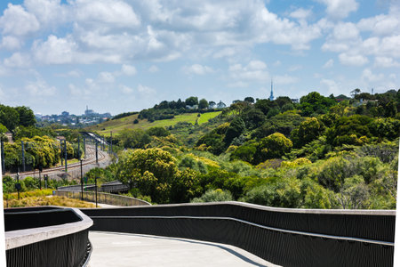 Raised shared path curving down through lush green park towards railroad and Orakei Basin. Auckand CBD skyline visible in the distance. Beautiful summer day in Auckland, New Zealandの写真素材