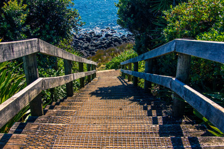Coastal path with wooden steps down to the rocky coastline. Manu Bay, Raglan, North Island, New Zealand.の写真素材