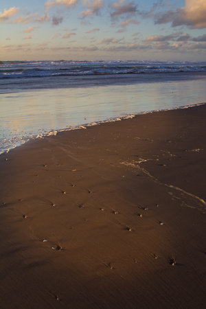 A close-up view of beach at low tide reveals scattered shell impressions in the smooth wet sand, with gentle waves and reflected sky hues painting the shoreline in soft pastel tones.の写真素材