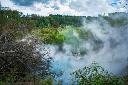 Steam rises through dense native forest in Rotorua, New Zealand, where geothermal pools and hot springs create a surreal, mist-filled landscape under dramatic skies.の写真素材