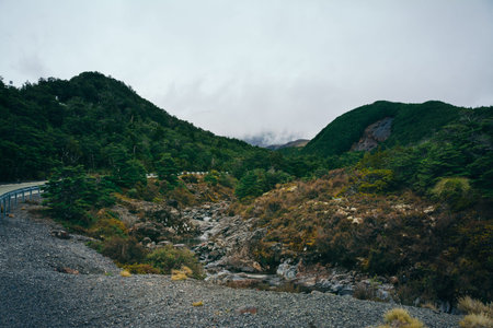 Rocky riverbed with evergreen trees on the banks. Ohukune Mountain Road, North Island, New Zealand