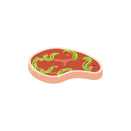Steak isolated vector illustration. Cartoon style piece of raw meat. Isometric meatのイラスト素材