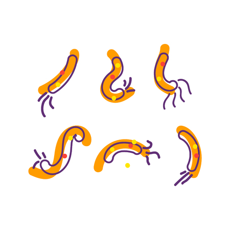 Bacterial microorganism. Micro-organisms, bacteria, viruses, fungi, protozoa under the rejuvenating glass,magnifier.Vector flat cartoon illustration iconのイラスト素材