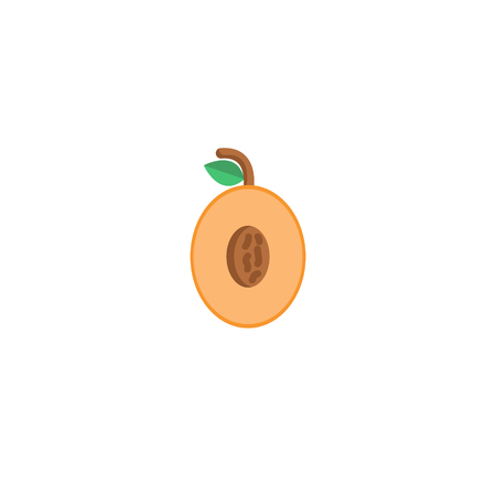 Apricot. Ripe juicy fruit with nut and leaf.のイラスト素材