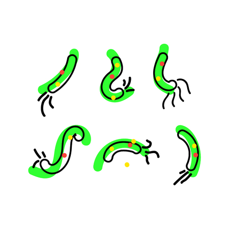 Bacterial microorganism. Micro-organisms, bacteria, viruses, fungi, protozoa under the rejuvenating glass,magnifier.Vector flat cartoon illustration iconのイラスト素材