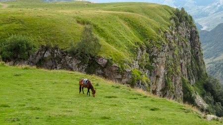 horse eating grass on Upper Svanetia, Georgia, Europe.の写真素材