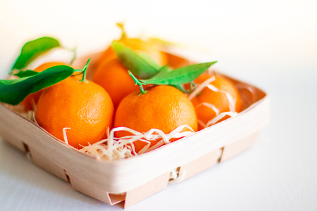 Fresh picked mandarins on a sunny dayの写真素材