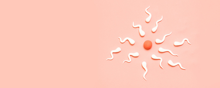 Medical concept. The figure of human sperm and human eggの写真素材