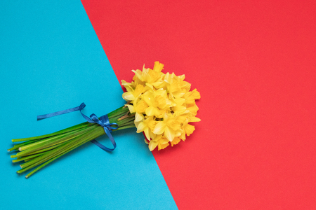 Bouquet of fresh yellow daffodils in female hands on background with space for textの写真素材