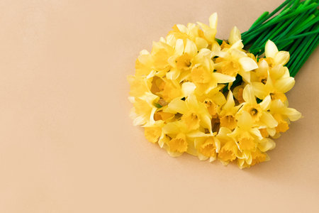 Close up bunch of yellow daffodils